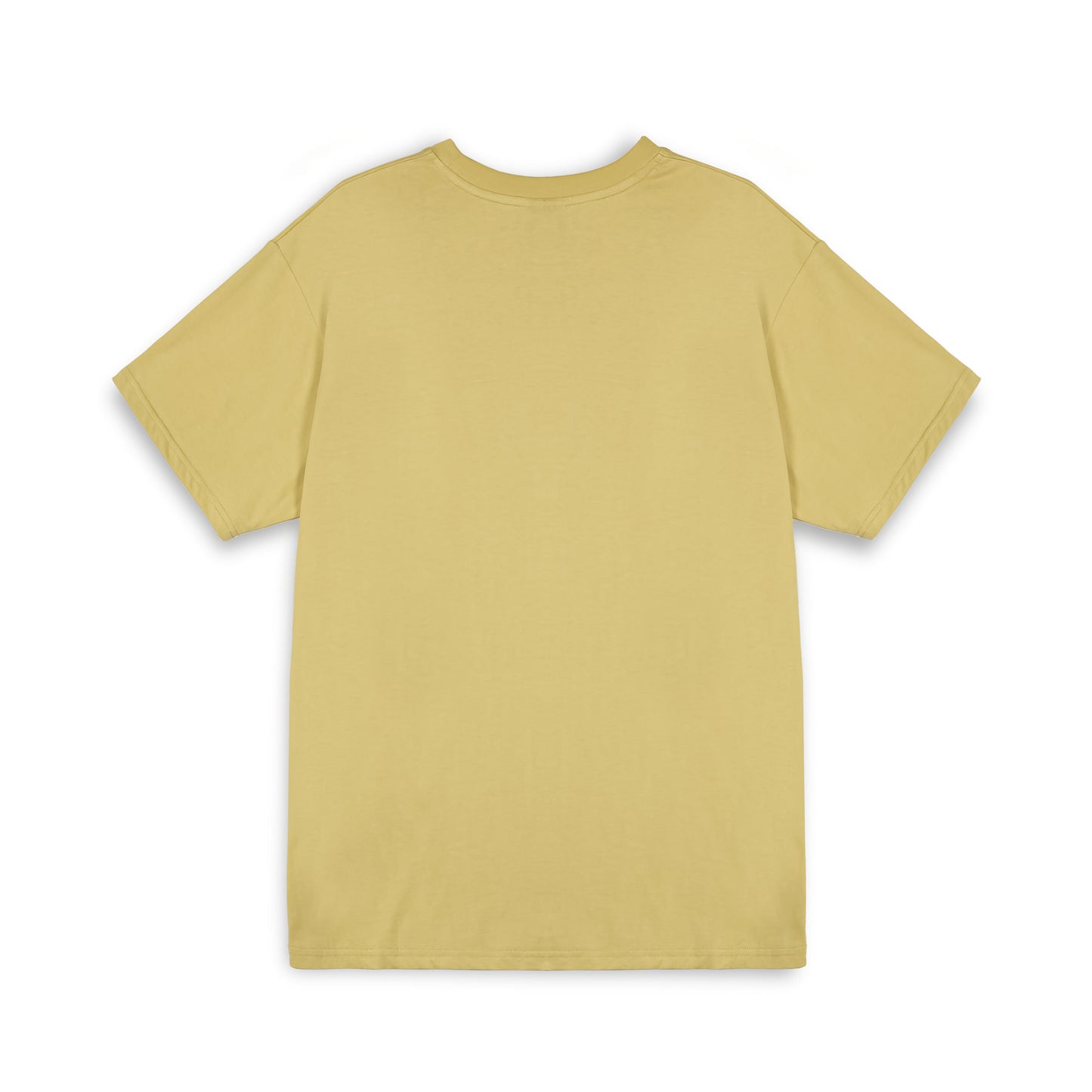BURN IN FLAMES REGULAR TEE KHAKI