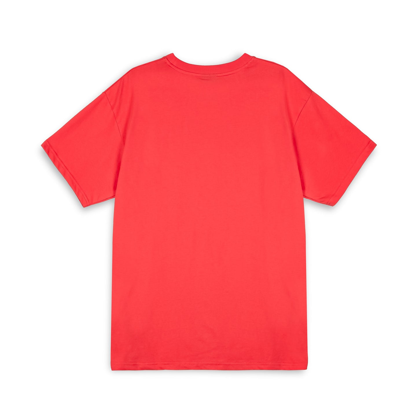 BURN IN FLAMES REGULAR TEE RED