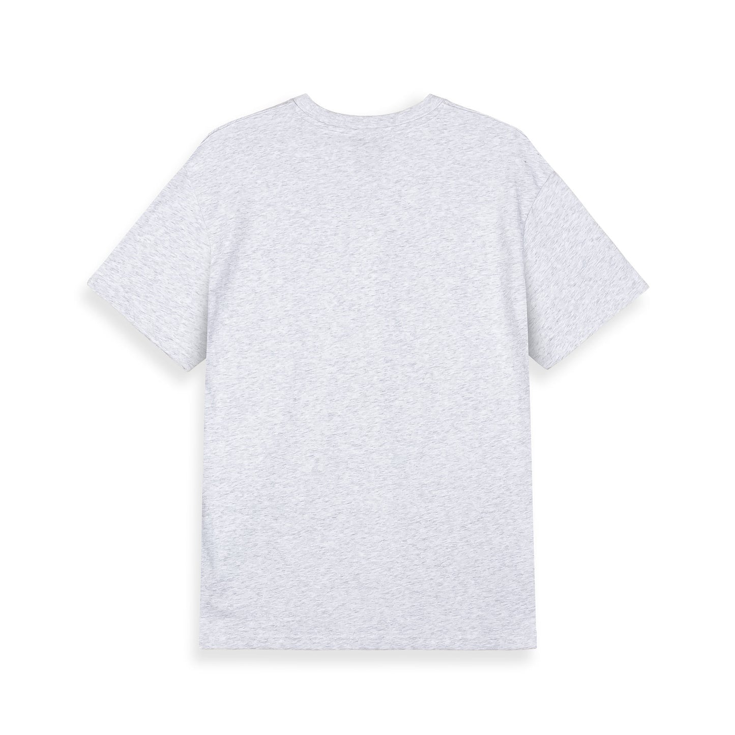 SWEET SCIENCE THE LOOTED REGULAR TEE SPORT GREY